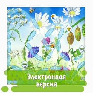 Настольная игра «Чудесное превращение»